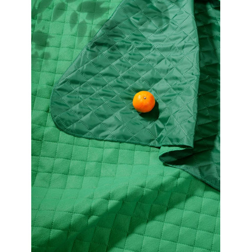 Плед для пикника Soft & Dry, зеленый Плед для пикника Soft & Dry, зеленый