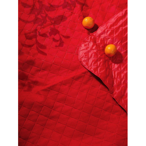 Плед для пикника Soft & Dry, темно-красный