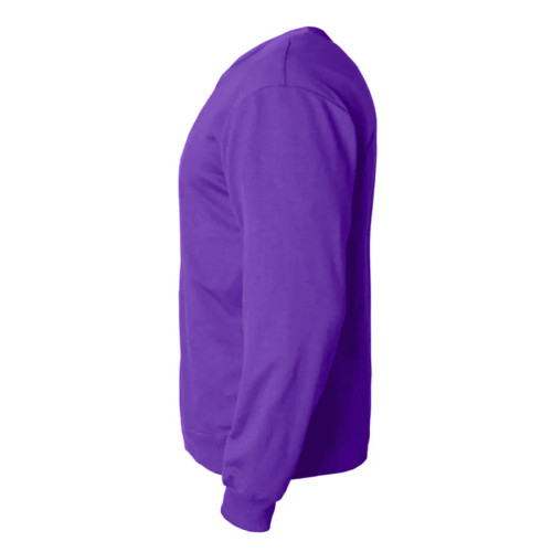 Толстовка мужская ANTARES, фиолетовыйй, 2XL, 50 % хлопок, 50% полиэстер, 260 г/м2